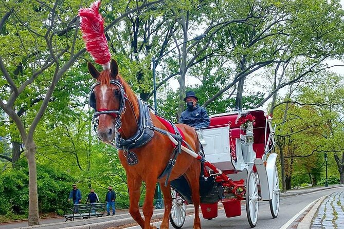 NYC Central Park VIP Horse and Carriage Ride - What the Central Park carriage ride feels like