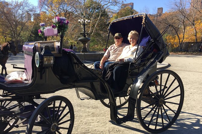 NYC Central Park VIP Horse and Carriage Ride - Bethesda Terrace and Fountain