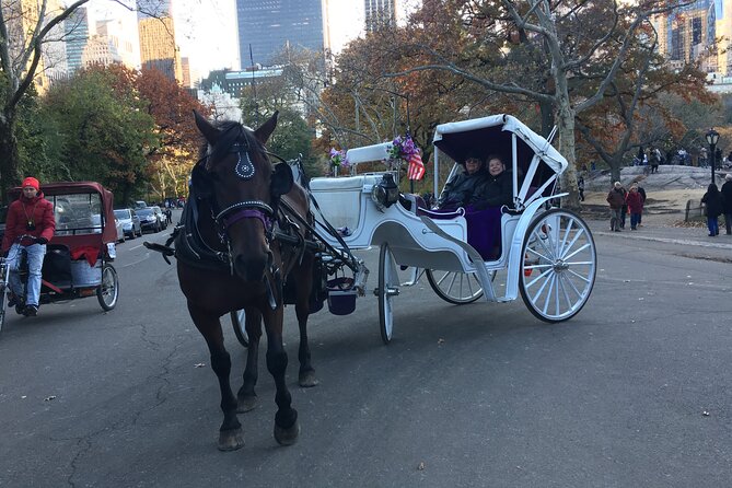 NYC Central Park VIP Horse and Carriage Ride - Why the private format is worth considering