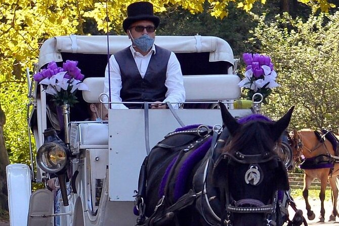NYC Central Park VIP Horse and Carriage Ride - The Mall and Literary Walk