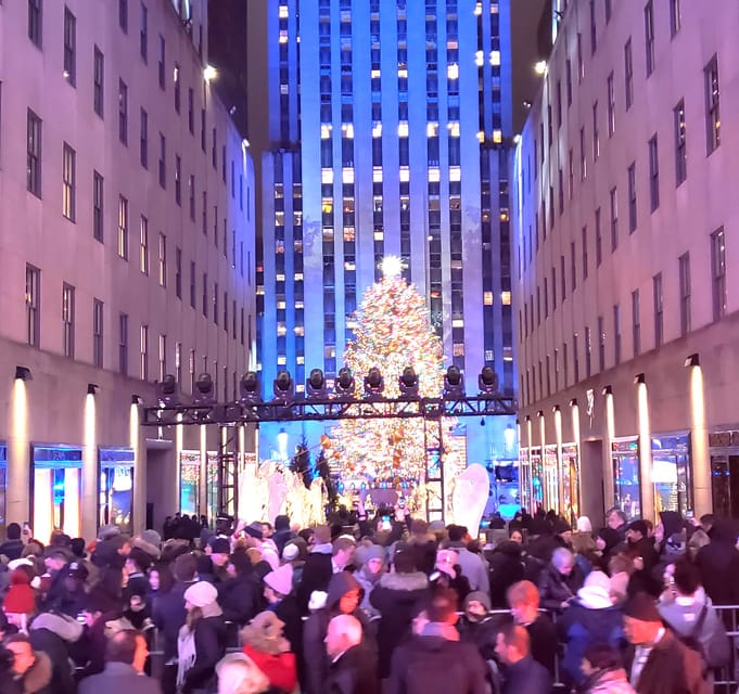 NYC: Christmas Lights Horse Carriage Ride - Key points at a glance