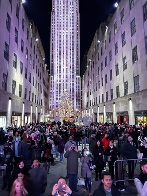 NYC: Christmas Lights Horse Carriage Ride - From 59th Street to Fifth Avenue