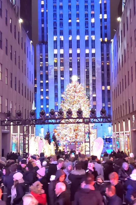 NYC: Christmas Lights Horse Carriage Ride - What the guides add to the experience