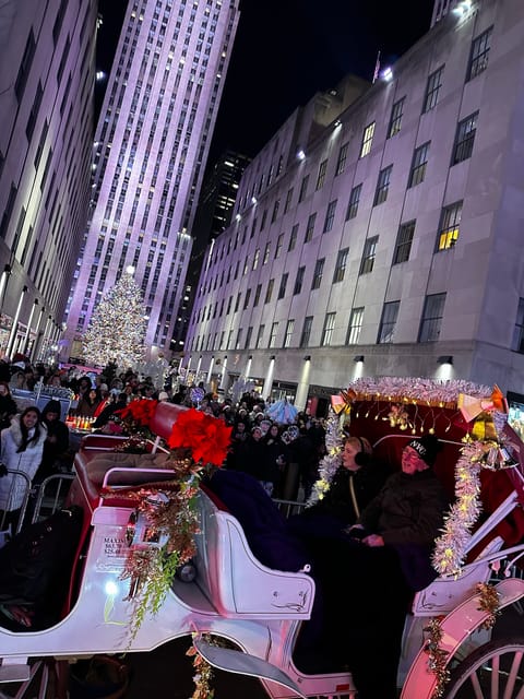NYC: Christmas Lights Horse Carriage Ride - Meeting at Central Park’s southern edge