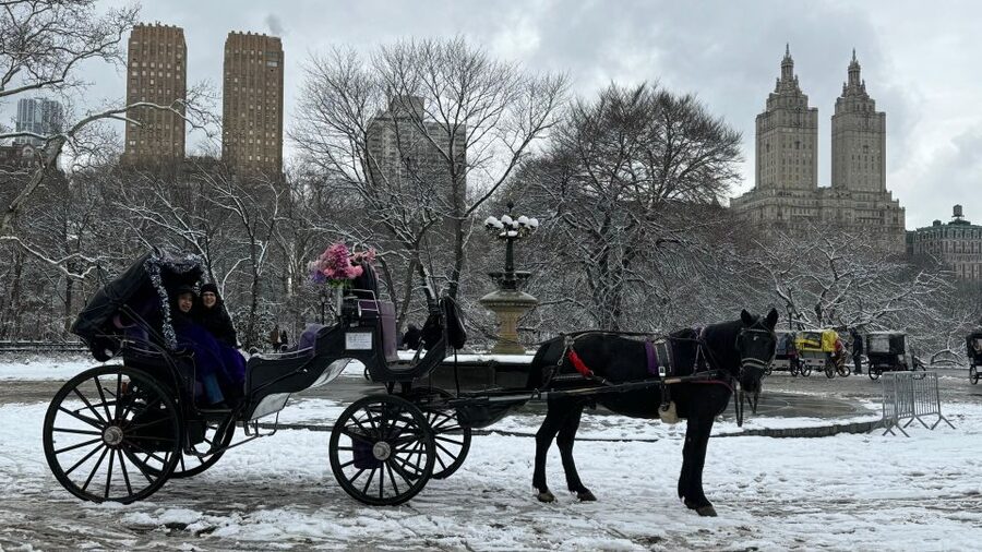 NYC Empire State Horse Carriage Ride in Central Park(45mins) - The route through Central Park