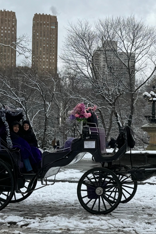 NYC Empire State Horse Carriage Ride in Central Park(45mins) - Cherry Hill and the lake views