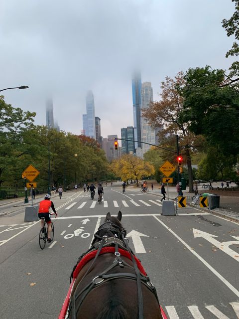 NYC Empire State Horse Carriage Ride in Central Park(45mins) - How much guiding should you expect?