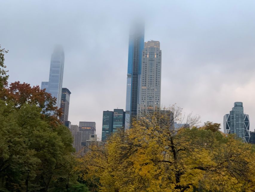 NYC Empire State Horse Carriage Ride in Central Park(45mins) - Meeting at 7th Avenue and 59th Street