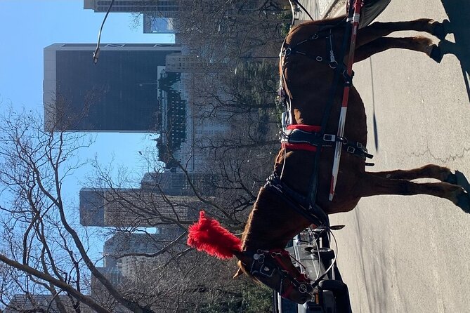 NYC Empire State Horses Carriage Ride in Central Park (45 Mins) - Key things to know before booking