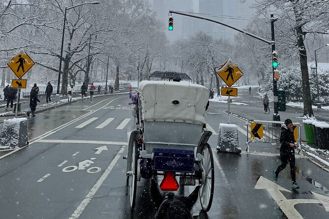 NYC Empire State Horses Carriage Ride in Central Park (45 Mins) - The horses and the pace of the ride