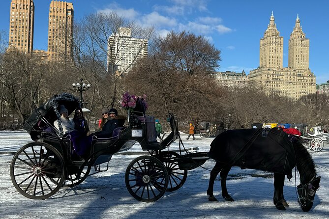 NYC Empire State Horses Carriage Ride in Central Park (45 Mins) - Is $158 good value for up to four people?