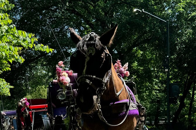 NYC Empire State Horses Carriage Ride in Central Park (45 Mins) - Should you book the Empire State Horses carriage ride?