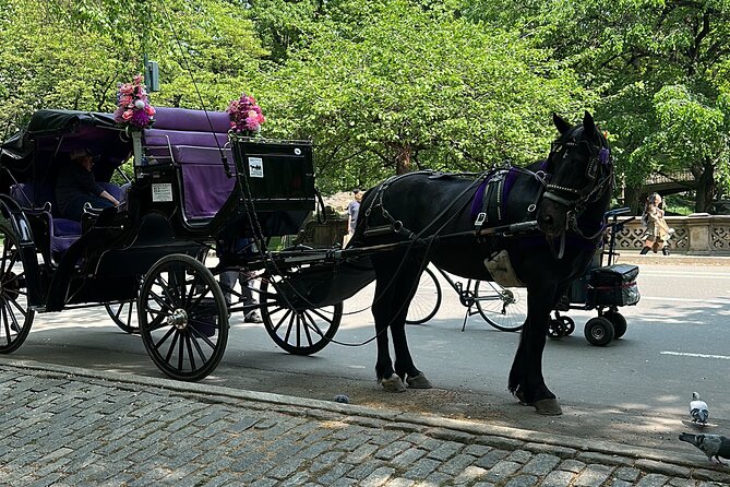 NYC Empire State Horses Carriage Ride in Central Park (45 Mins) - Following the carriage route through Central Park