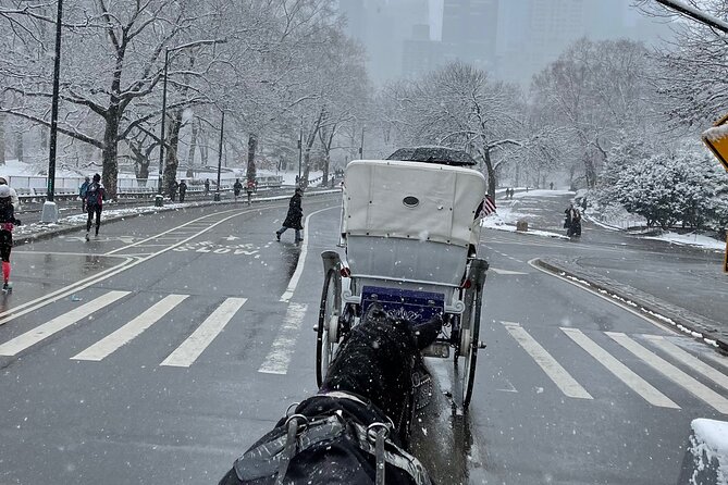 NYC Empire State Horses Carriage Ride in Central Park(55 Min) - Key points to know before you book