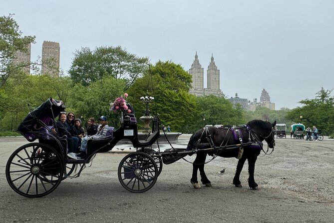 NYC Empire State Horses Carriage Ride in Central Park(55 Min) - Starting at Central Park South