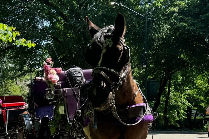 NYC Empire State Horses Carriage Ride in Central Park(55 Min) - The lake and Strawberry Fields