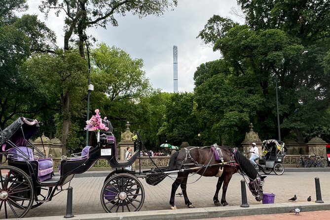 NYC Empire State Horses Carriage Ride in Central Park(55 Min) - The Dakota, Tavern on the Green, and Billionaires’ Row