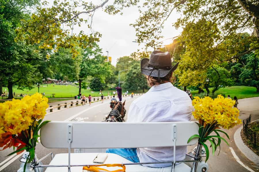 NYC: Guided Central Park Horse Carriage Ride - Why a carriage is a smart way to see Central Park