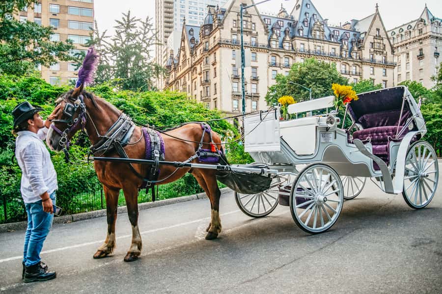 NYC: Guided Central Park Horse Carriage Ride - Literary Mall and Bethesda Fountain