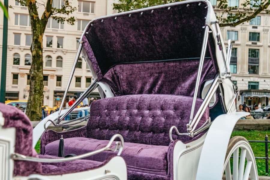 NYC: Guided Central Park Horse Carriage Ride - Sheep Meadow, Tavern on the Green, and the western sights