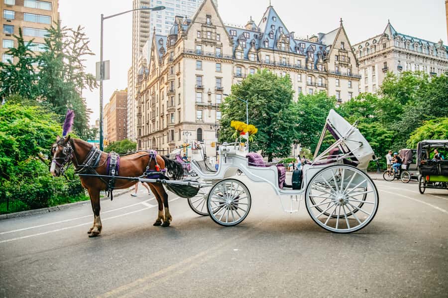 NYC: Guided Central Park Horse Carriage Ride - Daylight, city lights, and winter blankets