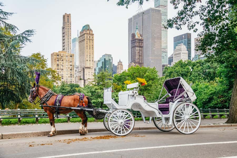 NYC: Guided Central Park Horse Carriage Ride - What you see from Wollman Rink to the Carousel