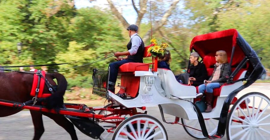 NYC: Guided Standard Central Park Carriage Ride (4 Adults) - Meeting the Carriage at the José Julián Martí Statue