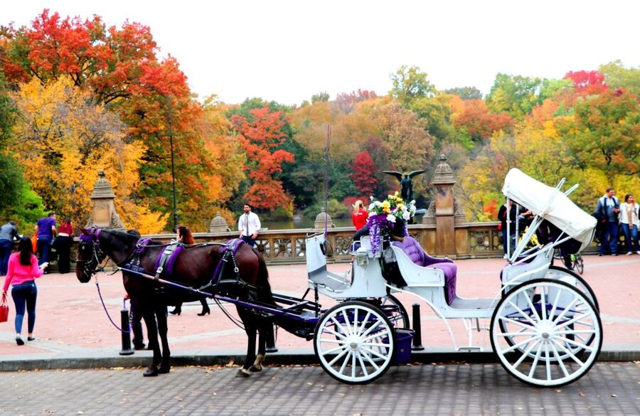 NYC: Guided Standard Central Park Carriage Ride (4 Adults) - Strawberry Fields and Sheep Meadow