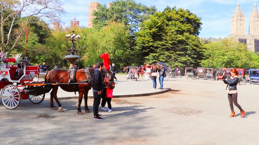 NYC: Guided Standard Central Park Carriage Ride (4 Adults) - A Gentle Ride Past Central Park’s Southern Sights