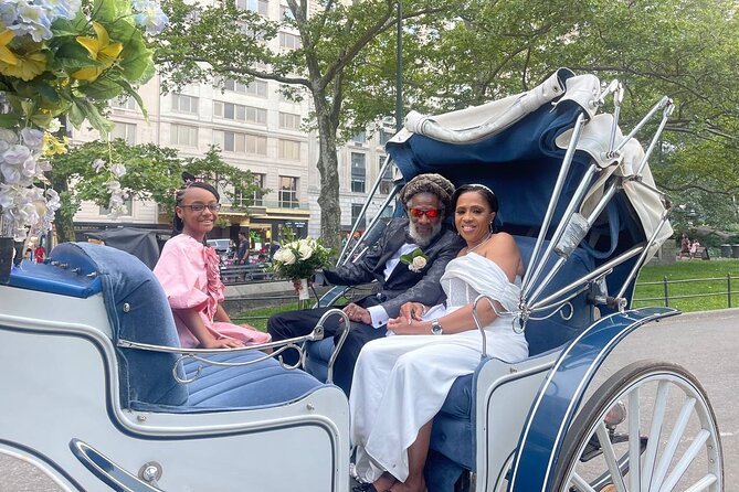 NYC Horse and Carriage Central Park Tours - The Mall and the famous elm-lined walk