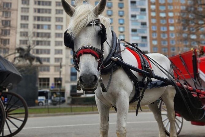 NYC Horse and Carriage Central Park Tours - Balto and Rumsey Playfield
