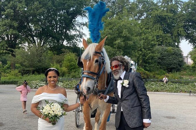 NYC Horse and Carriage Central Park Tours - Bethesda Fountain and Cherry Hill