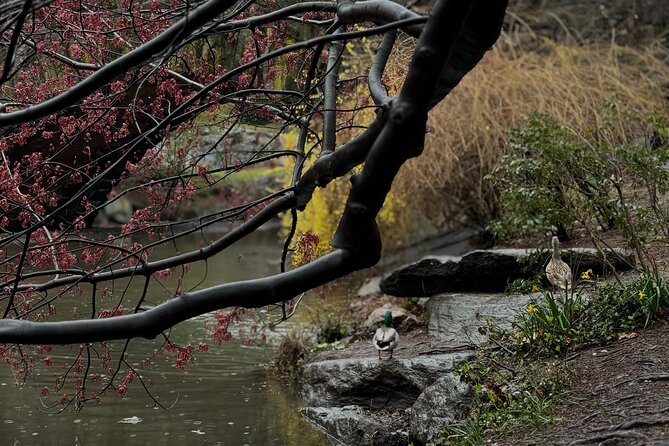 NYC Horse and Carriage Central Park Tours - Bow Bridge, Daniel Webster, and Strawberry Fields