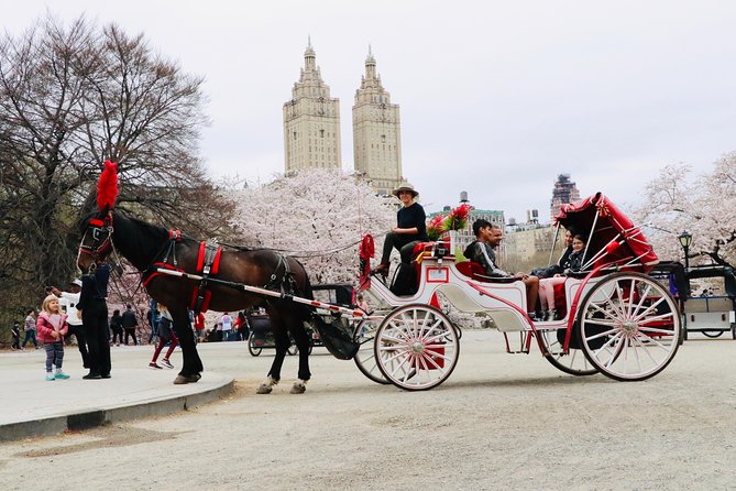 NYC Horse Carriage Ride in Central Park (50 Min. Up to 4 Adults) - Why a carriage is a smart way to see Central Park