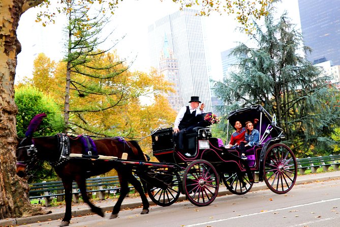 NYC Horse Carriage Ride in Central Park (50 Min. Up to 4 Adults) - Bow Bridge and the Lake