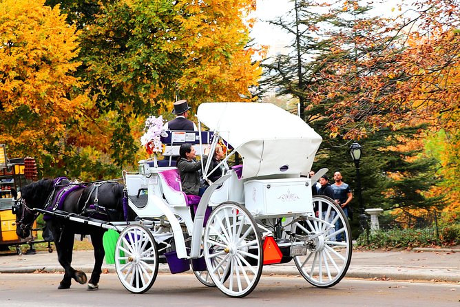 NYC Horse Carriage Ride in Central Park (50 Min. Up to 4 Adults) - Women’s rights, the Central Park Zoo, and Strawberry Fields