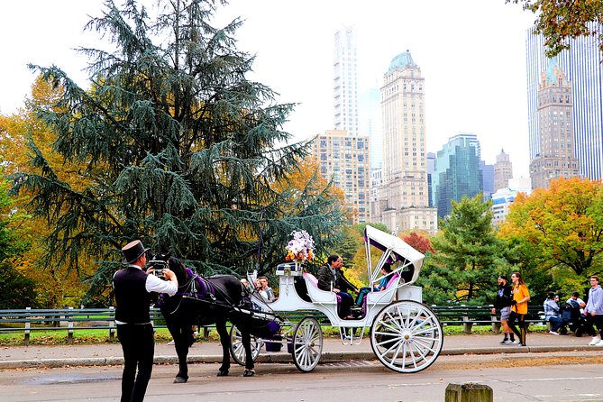 NYC Horse Carriage Ride in Central Park (50 Min. Up to 4 Adults) - Gapstow Bridge, Tavern on the Green, and the final stretch