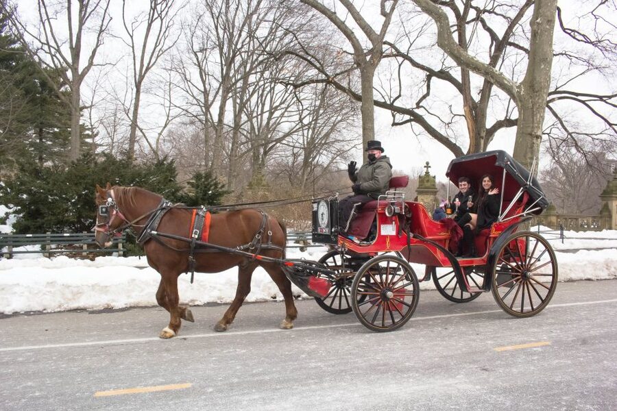 NYC Horse Carriage Ride in Central Park (65 min) - Key points at a glance