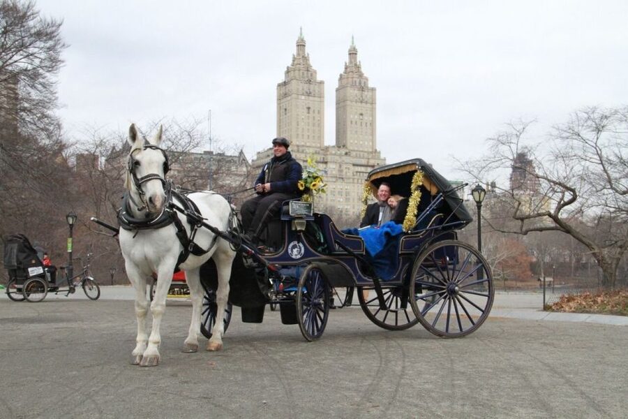 NYC Horse Carriage Ride in Central Park (65 min) - Weather can change the whole experience