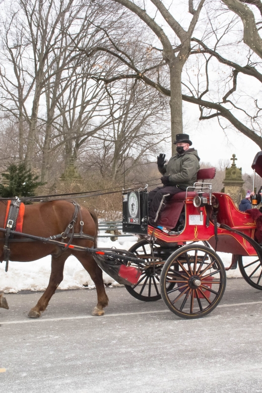 NYC Horse Carriage Ride in Central Park (65 min) - Why a carriage is a good way to see Central Park