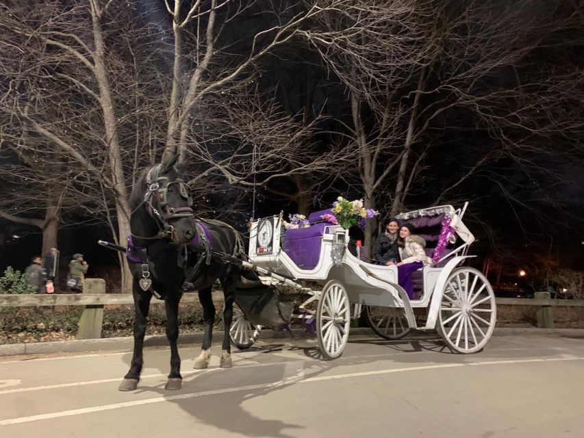 NYC Horse Carriage Ride in Central Park (65 min) - Wollman Rink, the Carousel, and early park sights
