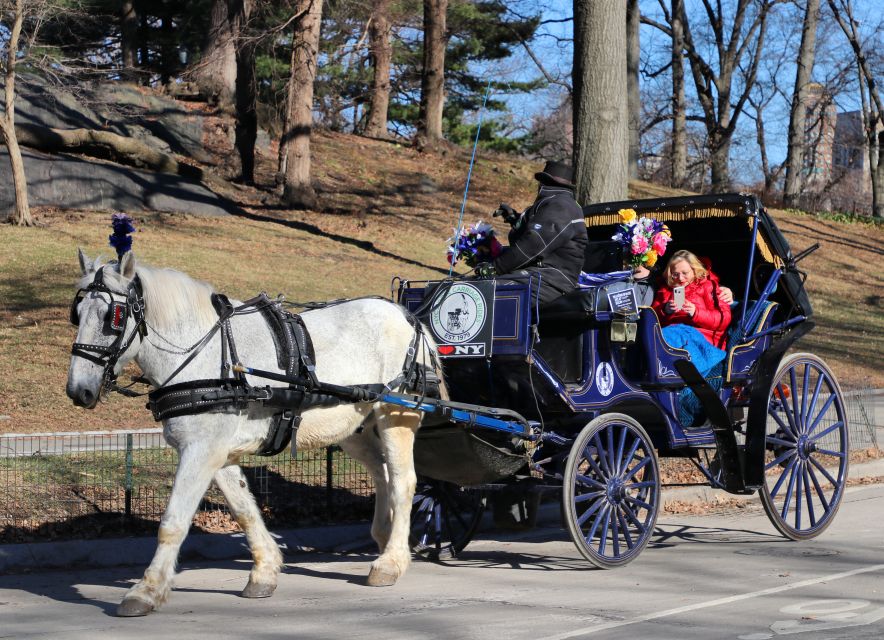 NYC Horse Carriage Ride in Central Park (65 min) - Bethesda Fountain and the heart of the park