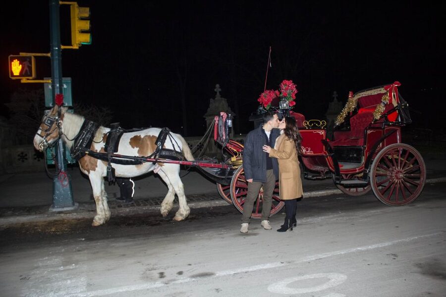 NYC Horse Carriage Ride in Central Park (65 min) - Cherry Hill and the horse-feeding stop