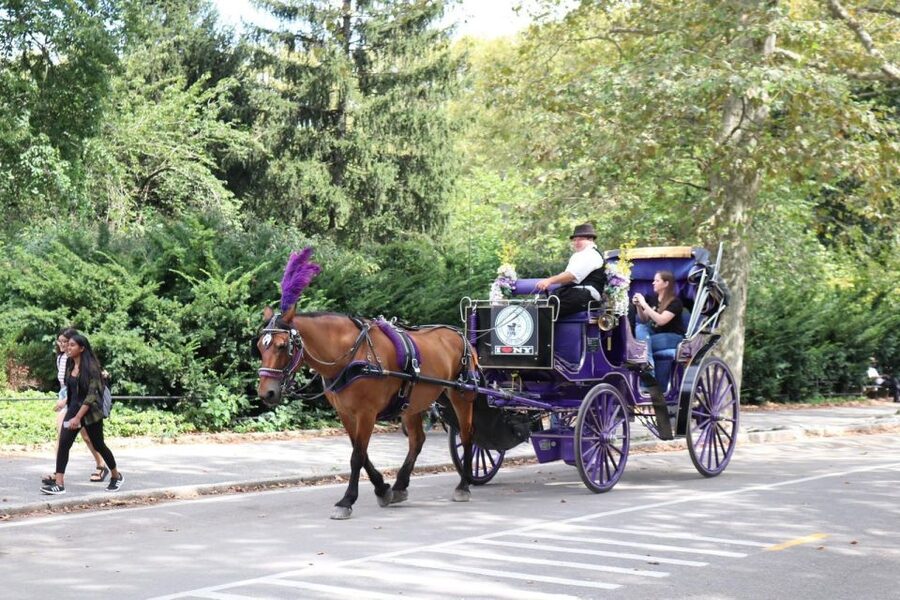 NYC Horse Carriage Ride in Central Park (65 min) - The Lake, Bow Bridge, and movie locations