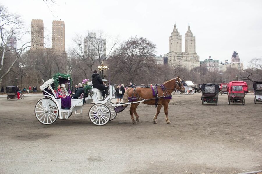 NYC Horse Carriage Ride in Central Park (65 min) - What the $175 price really buys you