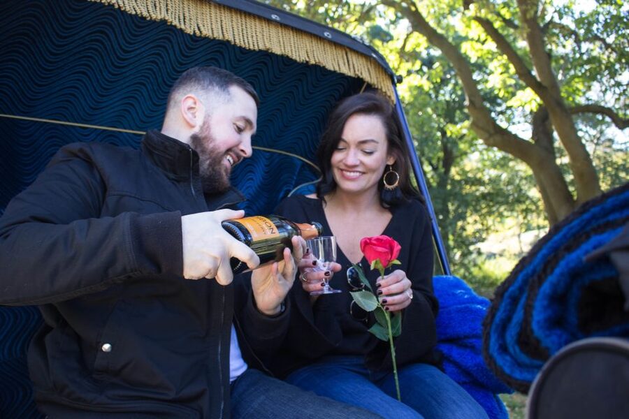 NYC Horse Carriage Ride in Central Park (65 min) - Starting near Central Park South