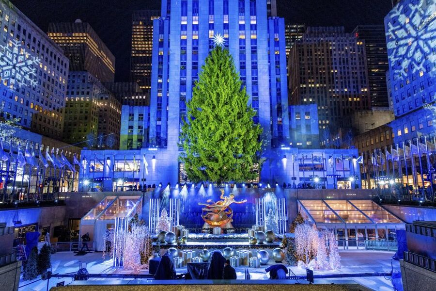 NYC: Magical Christmas Lights Carriage Ride - Key points to know before booking