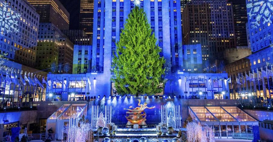 NYC: Magical Christmas Lights Carriage Ride - The magic starts at Central Park South