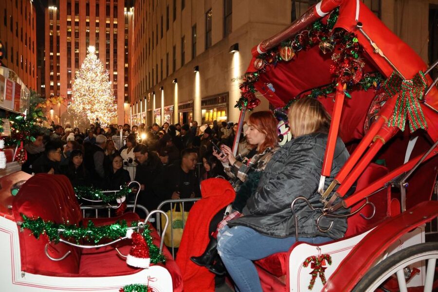 NYC: Magical Christmas Lights Carriage Ride - Blankets, roof, and weather