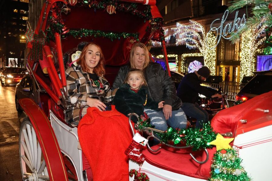 NYC: Magical Christmas Lights Carriage Ride - The horse is part of the experience